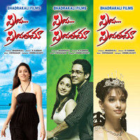 Priya Priyatama Movie Wallpapers | Picture 65455